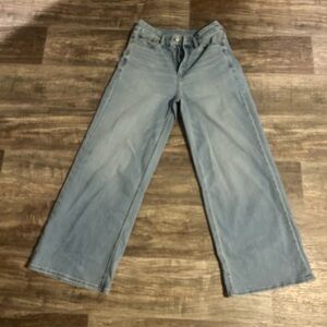 American Eagle Outfitters Light Blue Flare Jeans